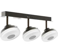 Потолочный светильник Мелодия Света 054-M10-3 CF 000021543