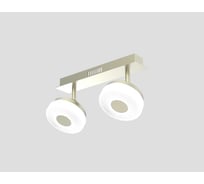 Потолочный светильник Мелодия Света 054-L10-2 SGD 000021548