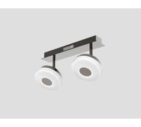 Потолочный светильник Мелодия Света 054-L10-2 CF 000021549