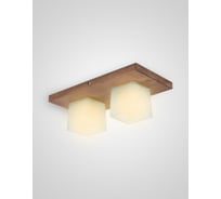 Потолочный светильник Мелодия Света 6424-2 PR 000036797