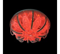 Потолочная люстра Мелодия Света 55249-5-500 WT+RBP 000027635