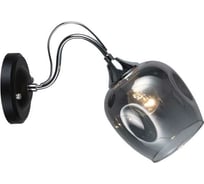 Настенный светильник Мелодия Света P5698-1W BK+CR 000056961