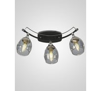 Настенный светильник Мелодия Света P5888-3W BK+CR 000029150