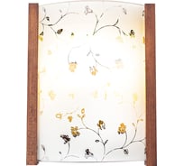 Настенно-потолочный светильник Мелодия Света 6423-Флора-1W PR 000040248