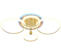 Потолочный светильник Мелодия Света M68576-2+2+1 102W SGD 000030296