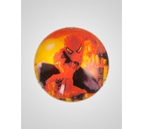 Светильник Мелодия Света D13-401-300 RD 000011233