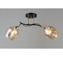 Потолочный светильник Мелодия Света P6006-2 BK+GD 000054526
