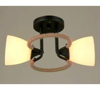 Потолочный светильник Мелодия Света P6094-2 BK 000022234