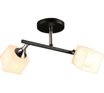 Потолочный светильник Мелодия Света P7486-2 BK+CR 000025265