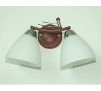Настенный светильник Мелодия Света P9489-2W BRN 000022892
