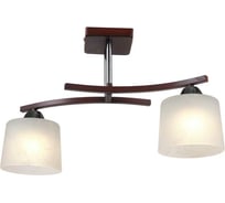 Потолочный светильник Мелодия Света P9482-2 RW 000024060