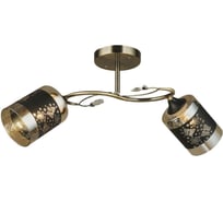 Потолочный светильник Мелодия Света P9472-2 AB 000029898