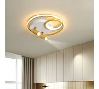 Потолочный светильник Мелодия Света SS6465-2+2 WT+GD 000057022