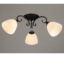 Потолочный светильник Мелодия Света P9722-3 BK 000027734