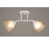 Потолочный светильник Мелодия Света P6322-2 WT 000054515