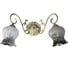 Настенный светильник Мелодия Света 0911-2W BG 000016879 1