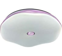 Светильник Мелодия Света X066-400 54W PU 000022042