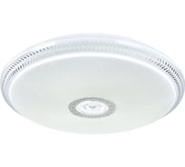 Светильник Мелодия Света X041 Bluetooth-500 81W WT 000022068