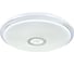 Светильник Мелодия Света X041 Bluetooth-500 81W WT 000022068 1