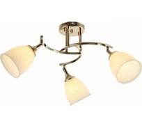 Потолочный светильник Мелодия Света P6570-3 GD 000030806