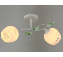 Потолочный светильник Мелодия Света P6380-2 WT 000024281