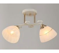 Потолочный светильник Мелодия Света P6467-2 WT+GD 000024279