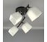 Люстра JUPITER LIGHTING MО 85-1242B/4 17