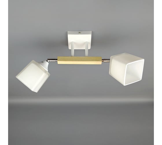 Люстра JUPITER LIGHTING N10-4719/2 1