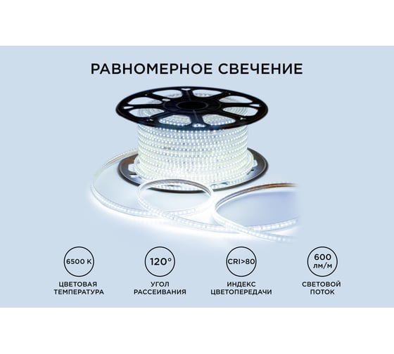Светодиодная лента OGM 220В, 7Вт/м, smd2835, 120д/м, ip65, 600Лм/м, 13x7мм, 50м, 6500к / O17-09