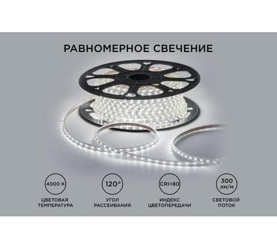Светодиодная лента OGM 220В, 5Вт/м, smd2835, 60д/м, ip65, 300Лм/м, 10x7мм, 50м, 4000к / O17-02