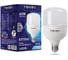 Светодиодная лампа TOKOV ELECTRIC 60Вт HP 6500К Е40/Е27 176-264В TKE-HP-E40/E27-60-6,5K 1