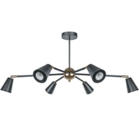 Потолочный светильник Navigator 80 439 nlf-c-051-01 черный золото 80439