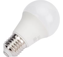 Светодиодная лампа GENERICA A60 груша 10Вт 230В 6500К E27 LL-A60-10-230-65-E27-G