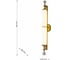 Бра FAVOURITE plunger 3012-2W 3