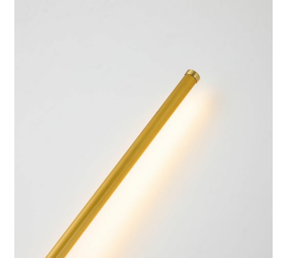 Настенный светильник FAVOURITE reed 3001-3W