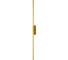 Настенный светильник FAVOURITE reed 3001-2W 2