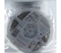 Светодиодная лента ЭРА LS5050-60LED-IP65-RGB-eco-5m 641774 Б0002347 2