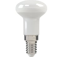 Светодиодная лампа XF-E14-R39-P-3W-3K-220V X-flash 44900