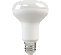 Лампа светодиодная X-flash XF-E27-R80-P-10W-3K-220V 44962
