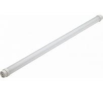 Светодиодная лампа нл-т8-20 вт-230 в-6500 к–g13, 1200 мм, матовая, стекло, непов. народная TDM ELECTRIC SQ0340-1504