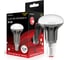 Светодиодная лампа Supra LED SL-LED-R50-3W/3000/E14 1