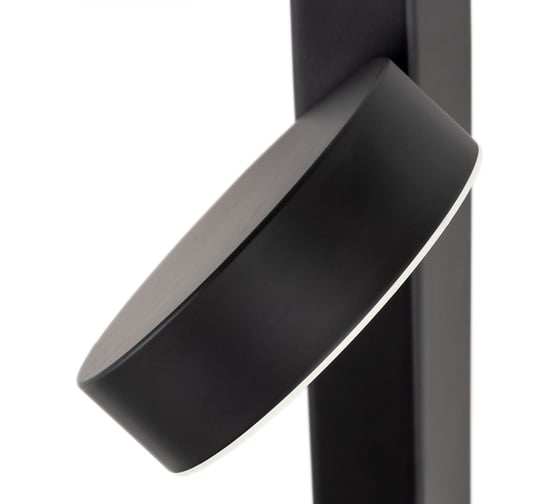 Настенный светильник ARTE LAMP MIRACH A2142AP-10BK