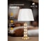 Декоративная настольная лампа ARTE LAMP JESSICA A4062LT-1PB 7