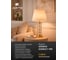 Декоративная настольная лампа ARTE LAMP JESSICA A4062LT-1PB 8