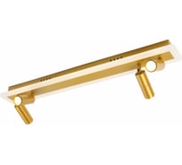 Спот ARTE LAMP TOMMY A2607PL-30GO