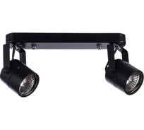 Спот ARTE LAMP MIZAR A1311PL-2BK