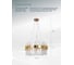 Подвесная люстра ARTE LAMP ALYA A1053SP-10PB 3