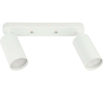 Спот Fametto DLC-S620 GU10x2 WHITE UL-00009795