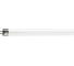 Люминесцентная лампа TL Mini 6W/33-640 G5 T5 PHILIPS 871150071583827 1