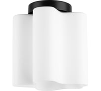 Потолочный светильник Lightstar nubi 802017